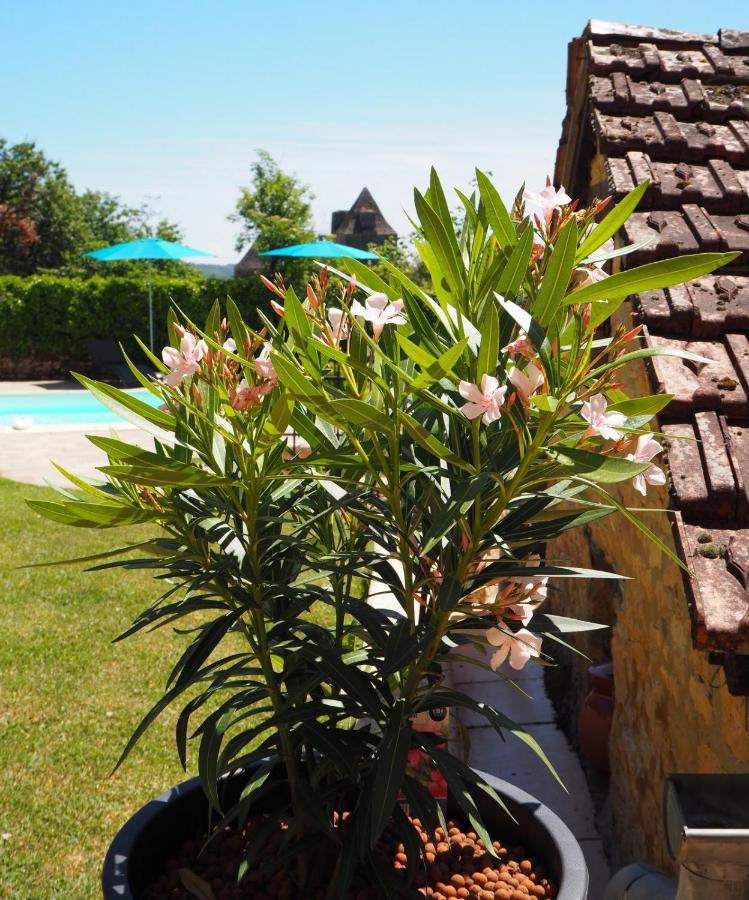 Le Clos De La Musardise - Gites De Charme Avec Piscine Chauffee Salignac Eyvigues Екстериор снимка